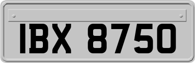 IBX8750