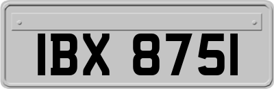 IBX8751