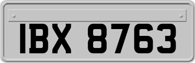 IBX8763