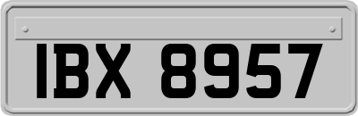 IBX8957