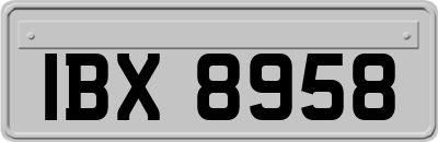 IBX8958