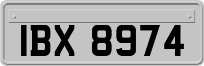 IBX8974
