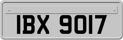 IBX9017