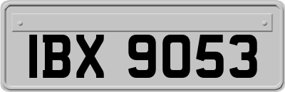 IBX9053