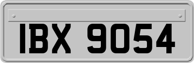 IBX9054