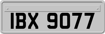 IBX9077