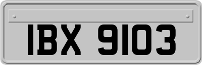 IBX9103