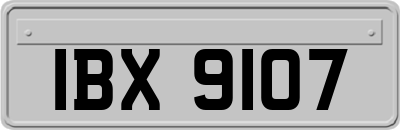 IBX9107
