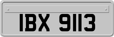 IBX9113