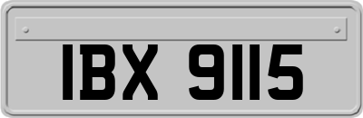 IBX9115