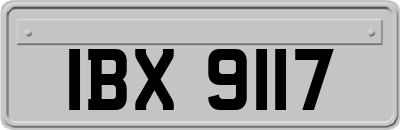 IBX9117