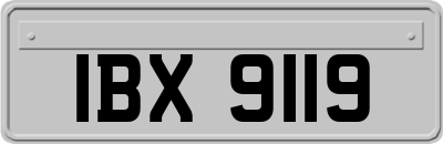 IBX9119