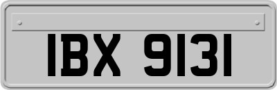 IBX9131