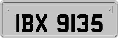 IBX9135