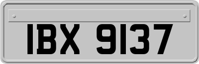 IBX9137