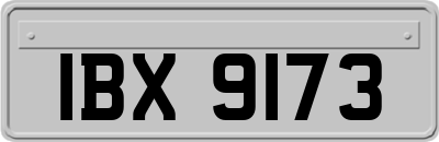 IBX9173