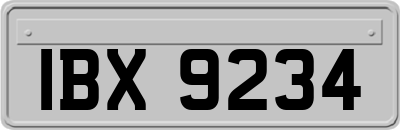 IBX9234