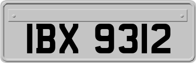 IBX9312