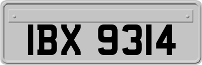 IBX9314