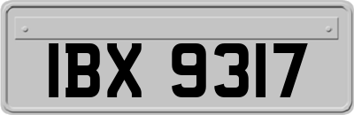 IBX9317