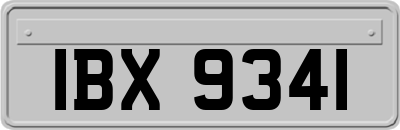 IBX9341