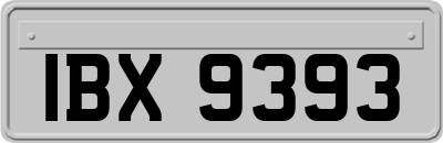 IBX9393