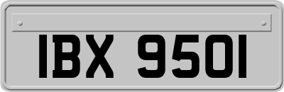 IBX9501