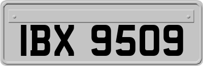 IBX9509