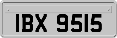 IBX9515