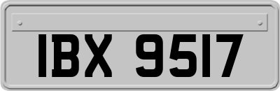 IBX9517