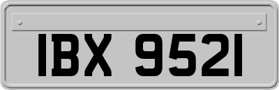 IBX9521