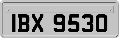 IBX9530