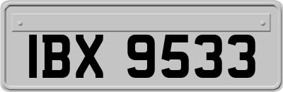 IBX9533