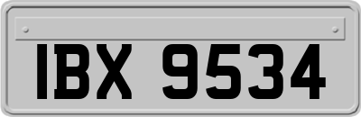 IBX9534