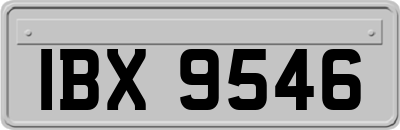 IBX9546