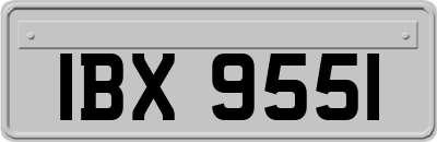 IBX9551