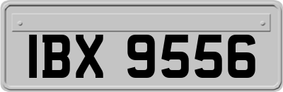 IBX9556