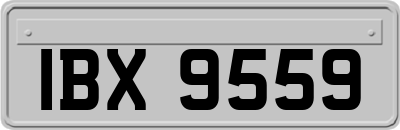 IBX9559