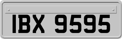 IBX9595