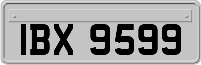 IBX9599