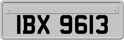IBX9613