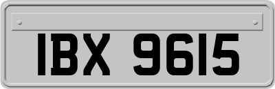 IBX9615
