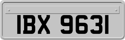 IBX9631