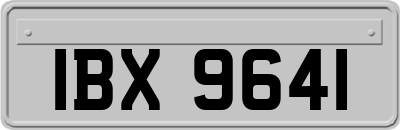 IBX9641