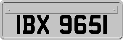 IBX9651