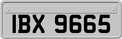 IBX9665