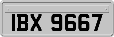 IBX9667
