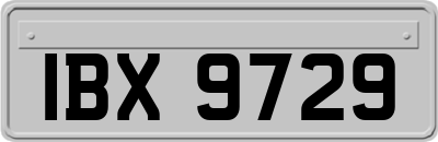 IBX9729
