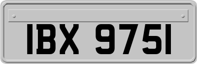 IBX9751