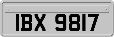 IBX9817